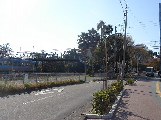 徳島中央公園