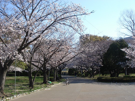 徳島中央公園