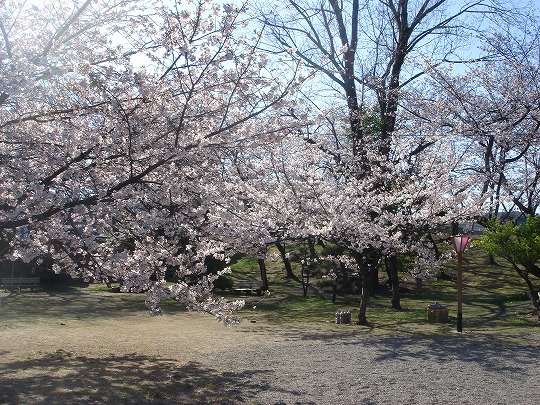 徳島中央公園