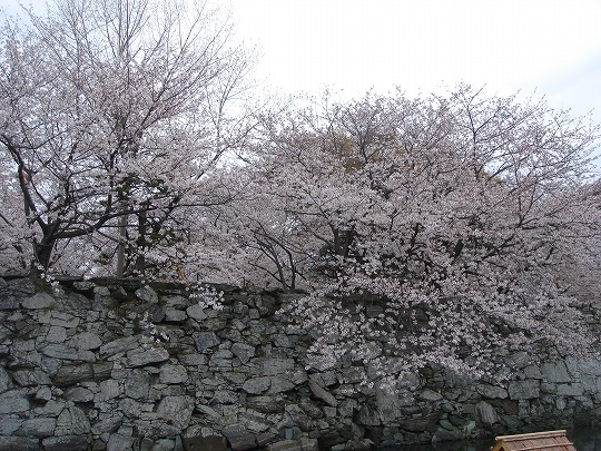 徳島中央公園