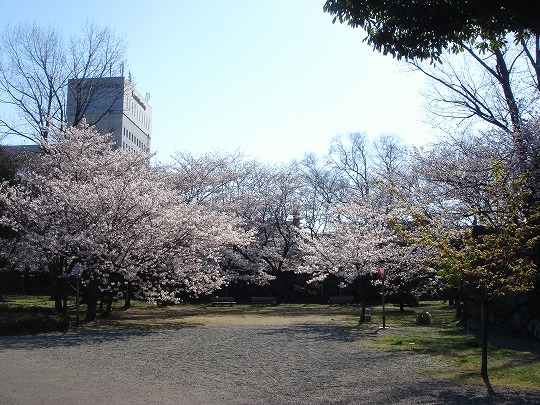 徳島中央公園